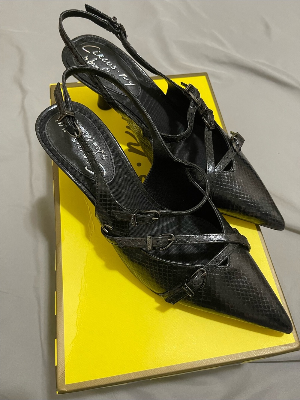 Circus by Sam Edelman Black Faux Snakeskin Pointed Slingback Heels